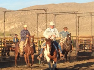 Glaser Ranch Cattle Round Up